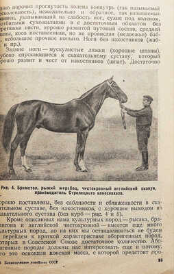 Будённый С. М. Коневодческое хозяйство СССР. С 20 рисунками и 1 схемой. М.; Л., 1932.